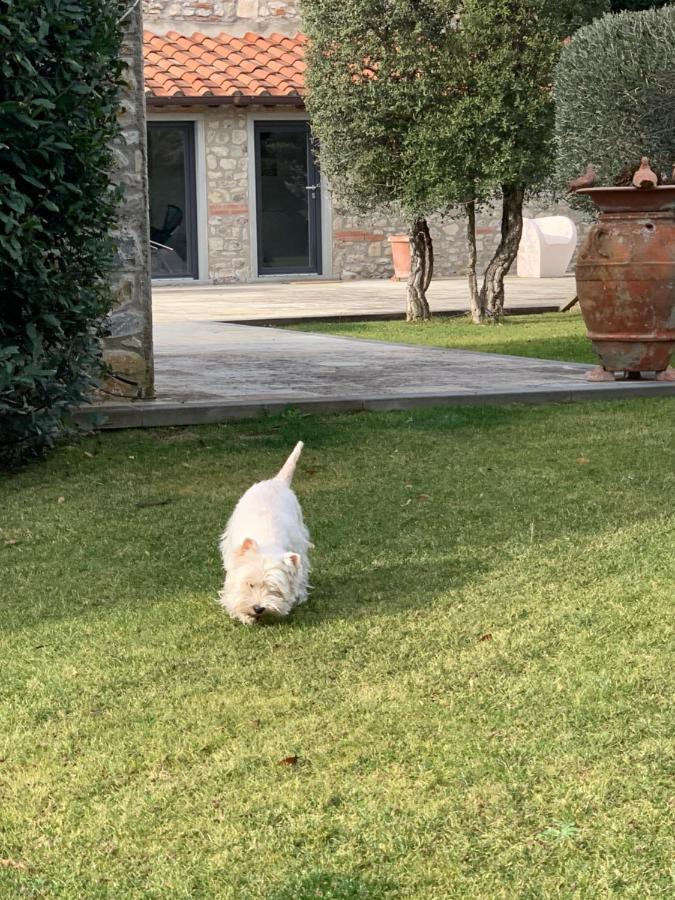 Appartamento In Villa Con Piscina - Mhateria Relais Rignano sullʼArno Exterior foto